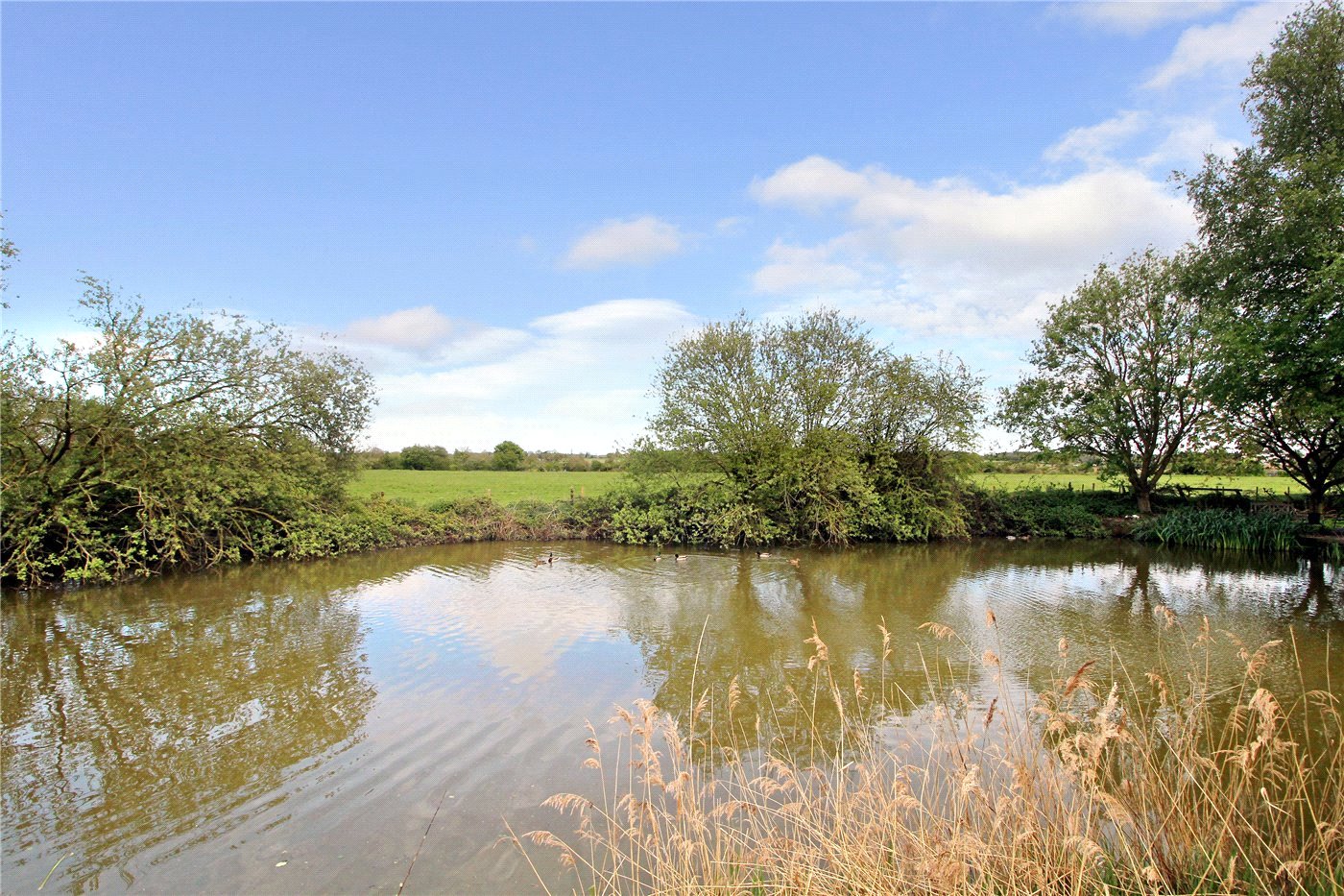 Grounds